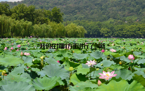 我们在饲料方面进行了创新