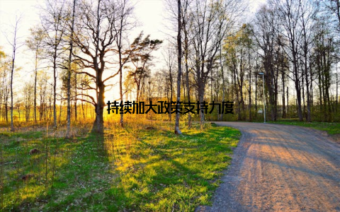 持续加大政策支持力度