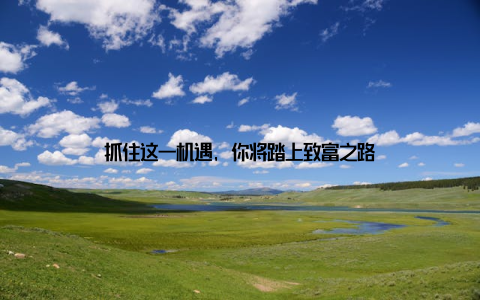 抓住这一机遇, 你将踏上致富之路