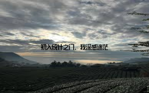 初入统计之门, 我深感迷茫