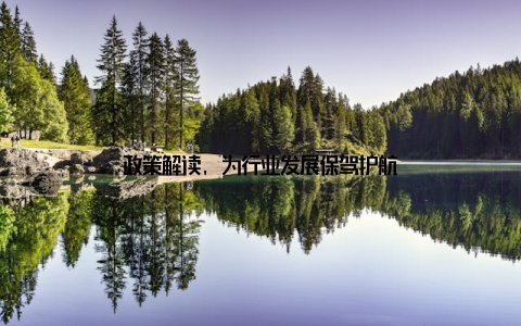 政策解读, 为行业发展保驾护航
