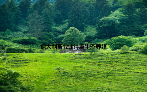 意大利畜牧业注重生态养殖