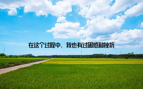 在这个过程中, 我也有过困惑和挫折