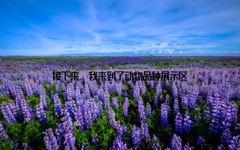 接下来, 我来到了动物品种展示区