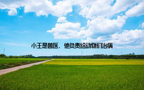 小王是兽医, 他负责给动物们治病
