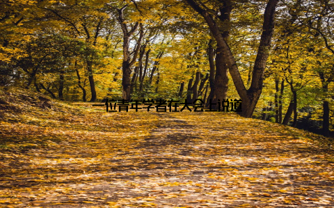 一位青年学者在大会上说道
