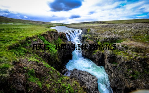 几天后, 我再次来到老张的养殖场