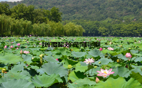 我们要解决的是饲料问题