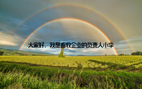 大家好, 我是畜牧企业的负责人小李