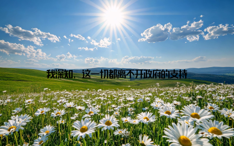 我深知, 这一切都离不开政府的支持