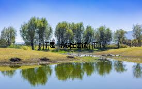 于是, 我决定尝试一下