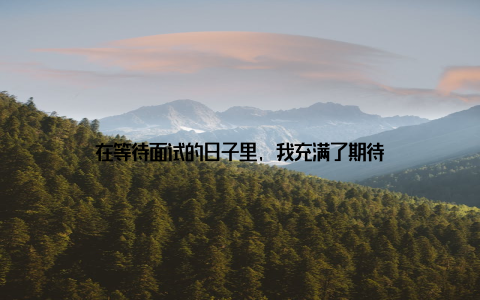 在等待面试的日子里, 我充满了期待