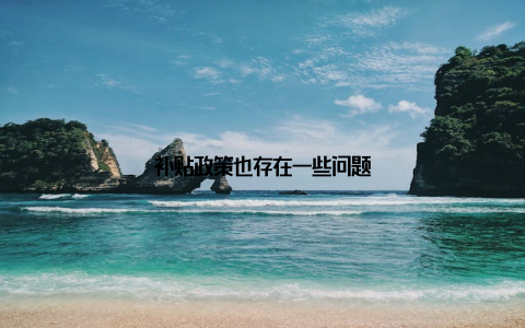 补贴政策也存在一些问题