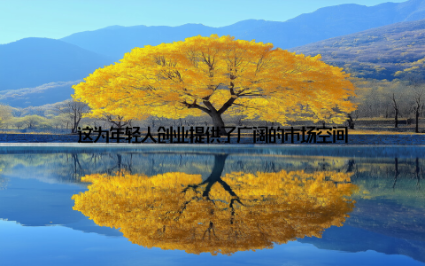 这为年轻人创业提供了广阔的市场空间