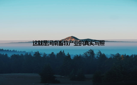 这就是河南畜牧产业的真实写照