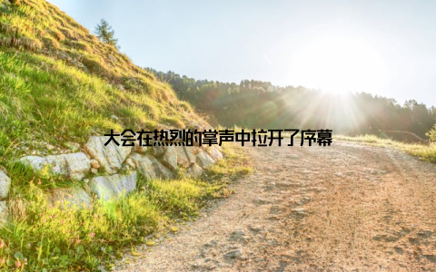 大会在热烈的掌声中拉开了序幕