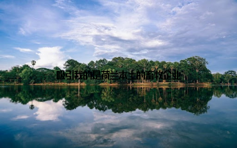 吸引我的是荷兰本土的畜牧企业