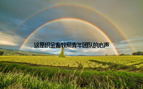 这是织金畜牧局青年团队的心声