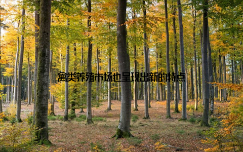 禽类养殖市场也呈现出新的特点