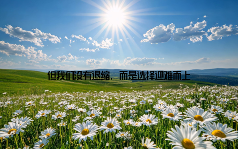 但我们没有退缩, 而是选择迎难而上