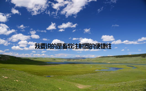 我要说的是畜牧注射器的便捷性