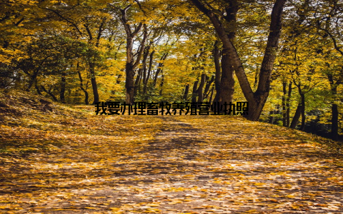 我要办理畜牧养殖营业执照