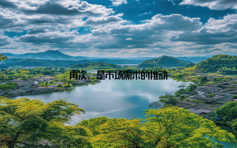 再次, 是市场需求的推动