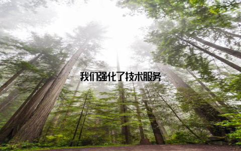 我们强化了技术服务