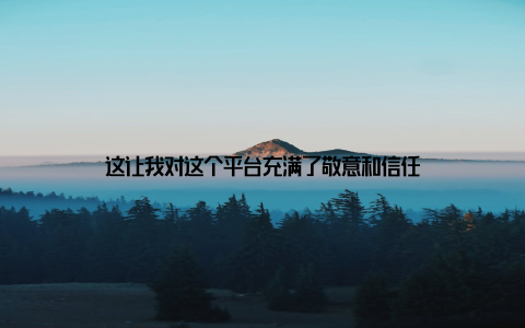 这让我对这个平台充满了敬意和信任